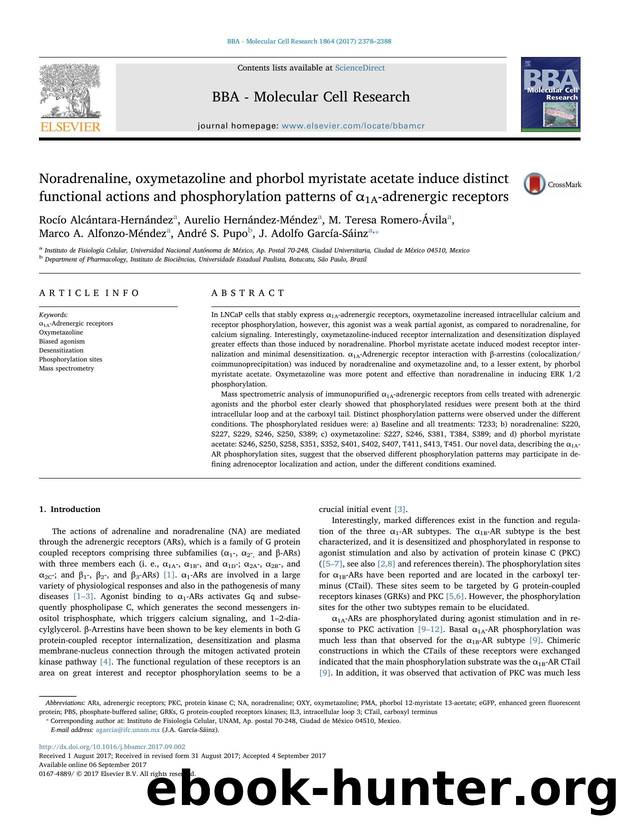Noradrenaline, oxymetazoline and phorbol myristate acetate induce distinct functional actions and phosphorylation patterns of Î±1A-adrenergic receptors by unknow
