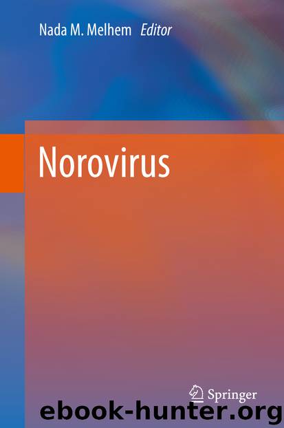Norovirus by Unknown