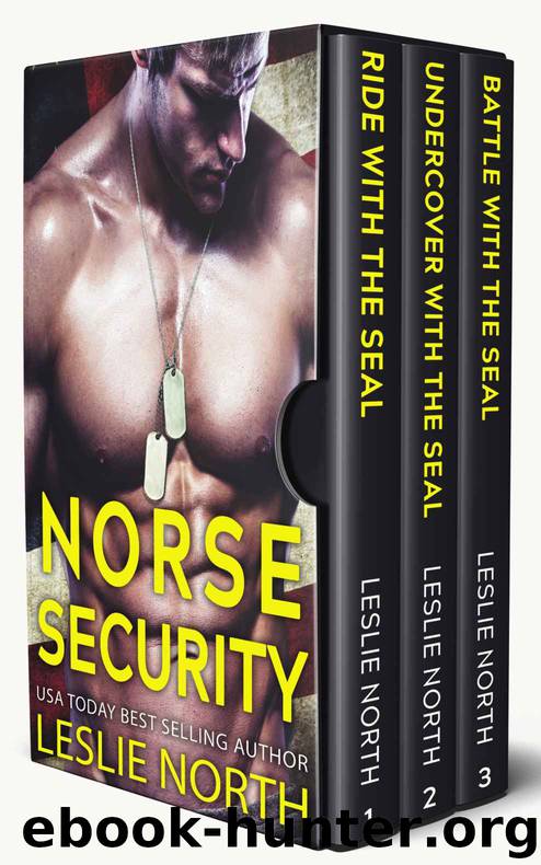 Norse Security: The Complete Series by North Leslie