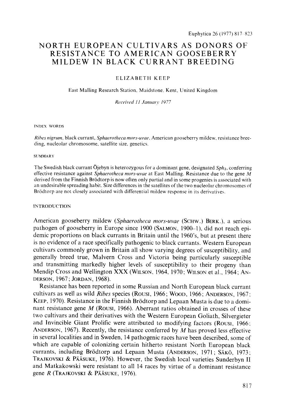 North European cultivars as donors of resistance to American gooseberry mildew in black currant breeding by Unknown