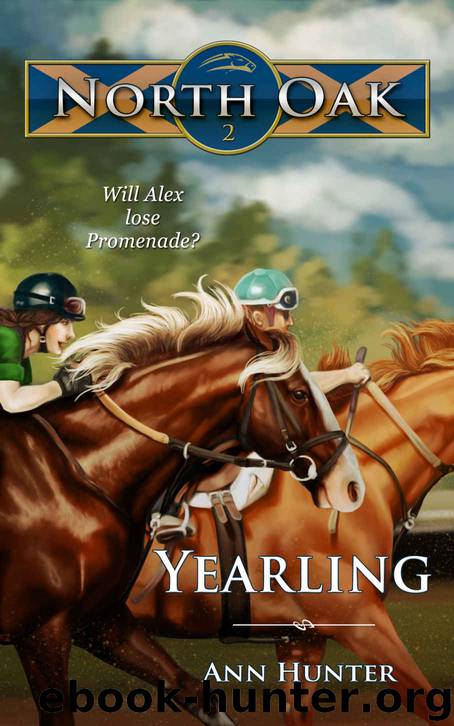 North Oak 2- Yearling by Ann Hunter