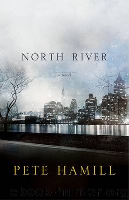 North River (2007) by Pete Hamill