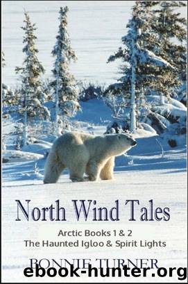 North Wind Tales by Bonnie Turner