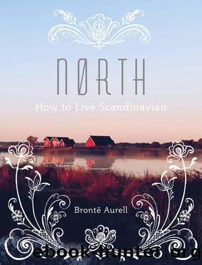 North by Brontë Aurell
