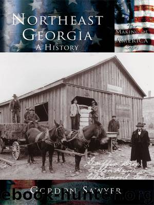 Northeast Georgia by Gordon Sawyer