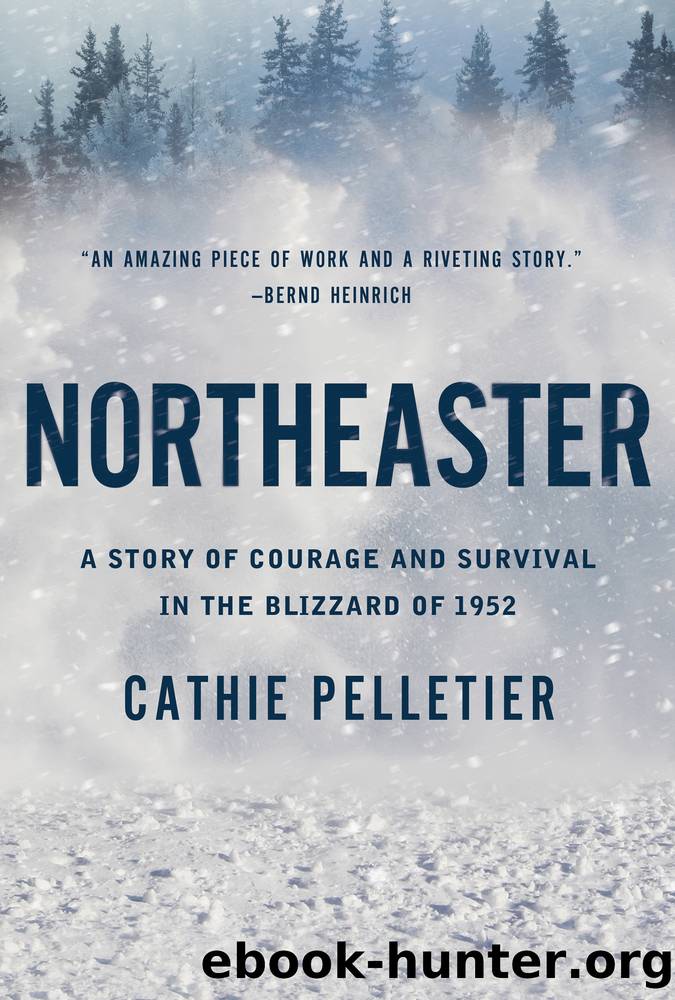 Northeaster by Cathie Pelletier