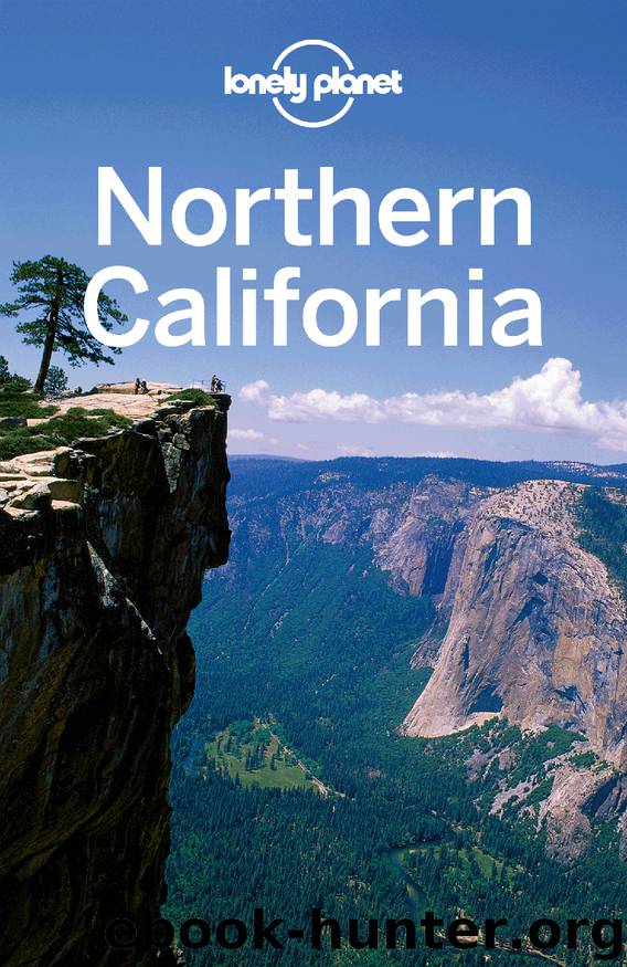 Northern California by Lonely Planet