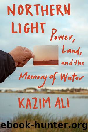 Northern Light by Kazim Ali