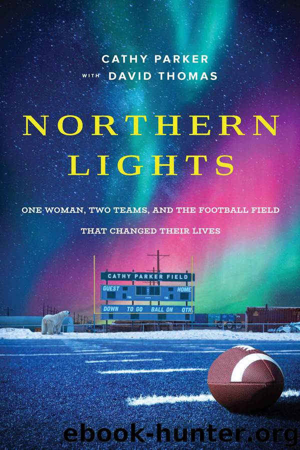 Northern Lights by Cathy Parker
