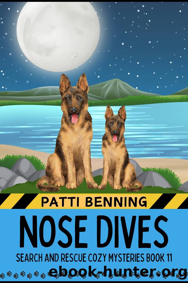 Nose Dives by Benning Patti