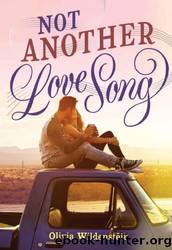 Not Another Love Song by Olivia Wildenstein