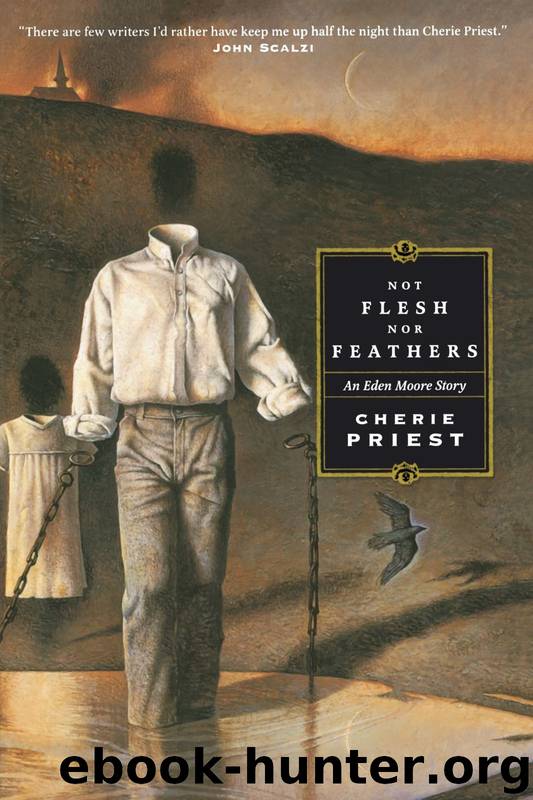 Not Flesh Nor Feathers by Cherie Priest