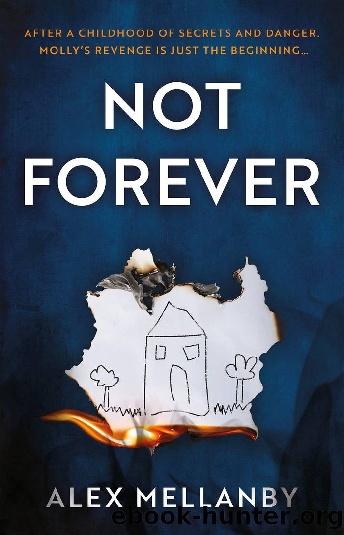 Not Forever by Alex Mellanby