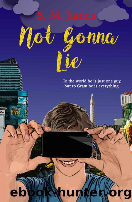 Not Gonna Lie by S. M. James