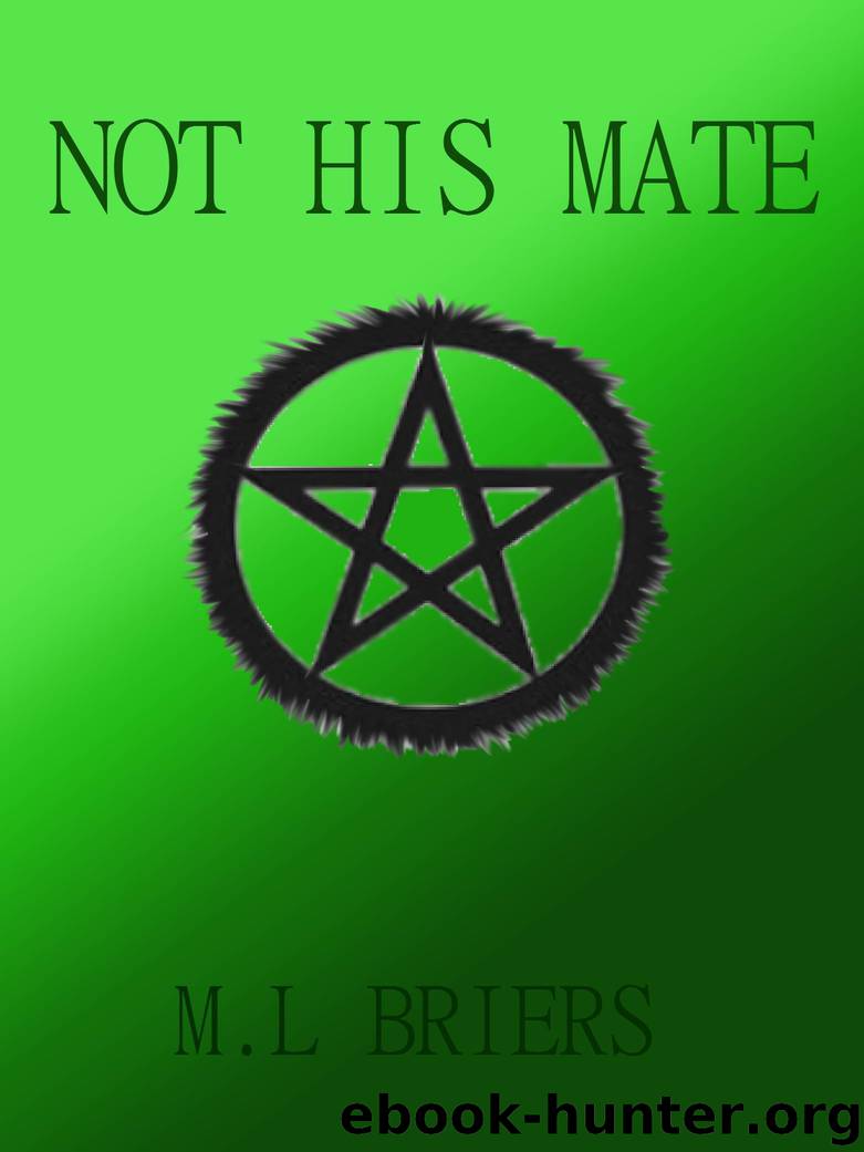 Not His Mate by M. L. Briers