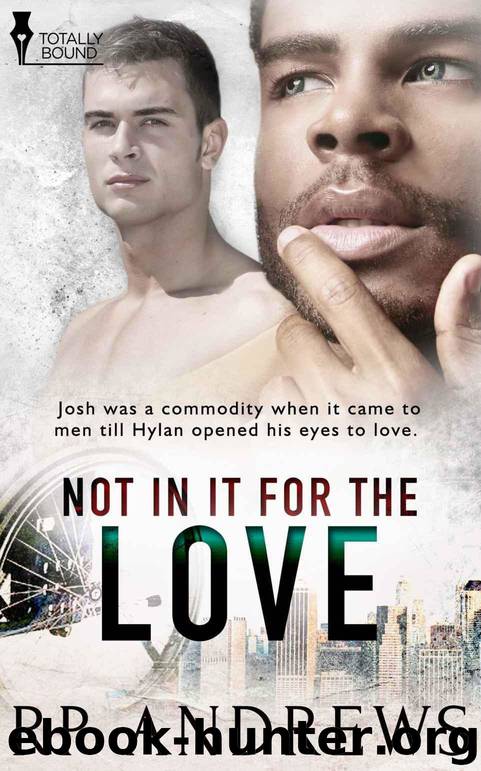Not In It For The Love by RP Andrews