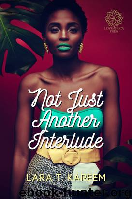 Not Just Another Interlude by Lara T Kareem