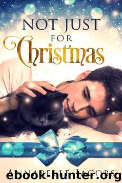 Not Just For Christmas by Annabelle Jacobs