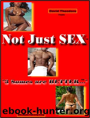 Not Just SEX: 3 Somes are Better by David Theodore