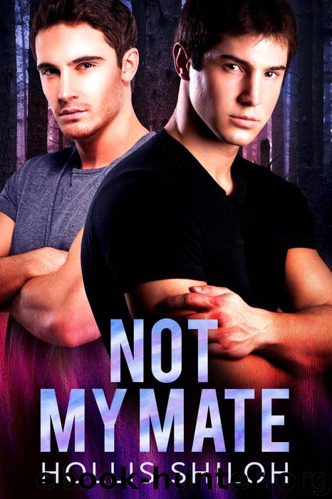 Not My Mate (shifters and partners, #12) by Hollis Shiloh
