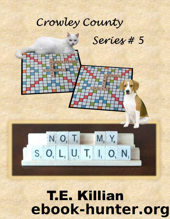 Not My Solution by T E Killian