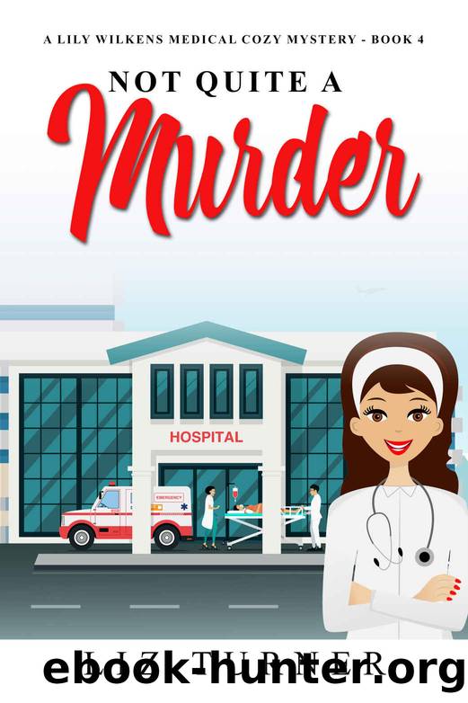 Not Quite a Murder by Liz Turner