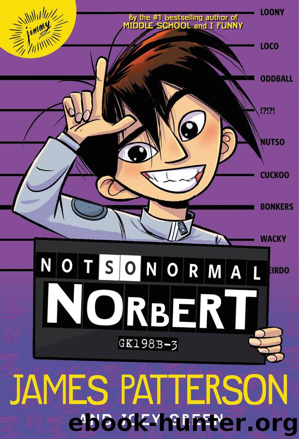 Not So Normal Norbert by James Patterson & Hatem Aly