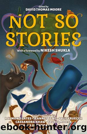 Not So Stories by David Thomas Moore