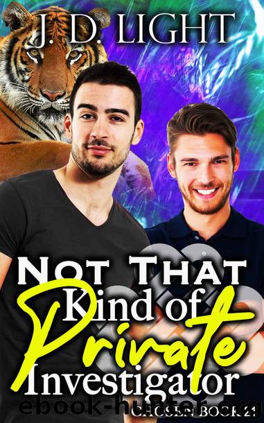 Not That Kind of Private Investigator: Chosen Book 21 by Light J. D