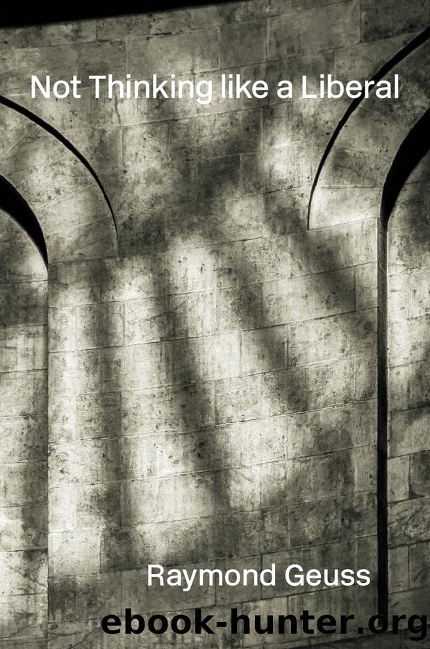 Not Thinking Like a Liberal by Raymond Geuss