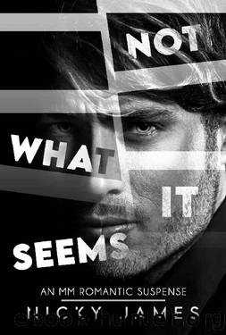 Not What It Seems by Nicky James