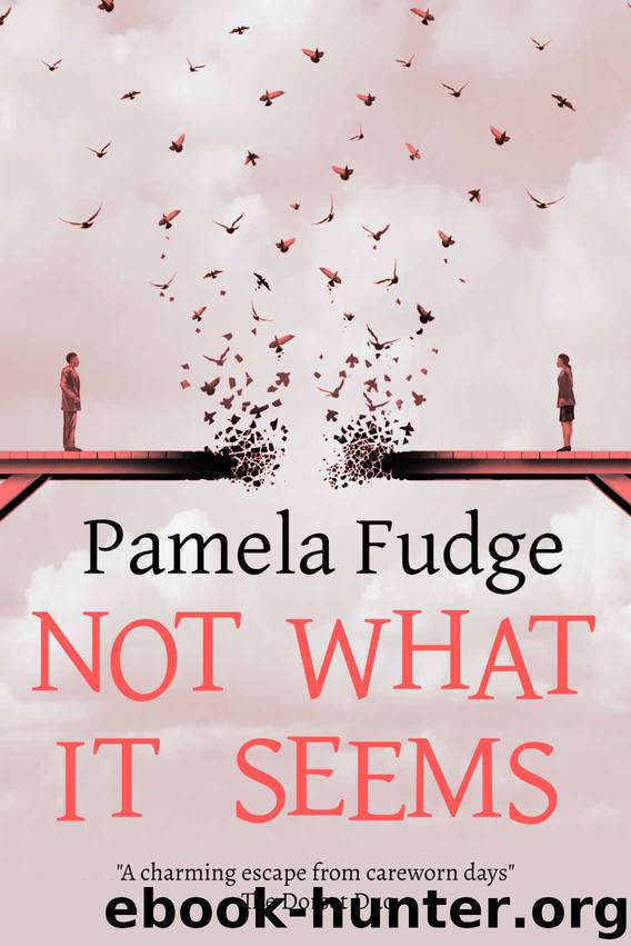 Not What it Seems by Pamela Fudge