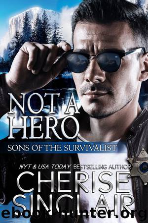 Not a Hero: Sons of the Survivalist Book 1 by Cherise Sinclair