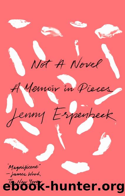 Not a Novel by Jenny Erpenbeck