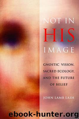 Not in His Image: Gnostic Vision, Sacred Ecology, and the Future of Belief by Lash John Lamb
