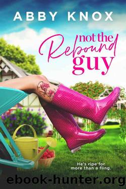 Not the Rebound Guy by Abby Knox