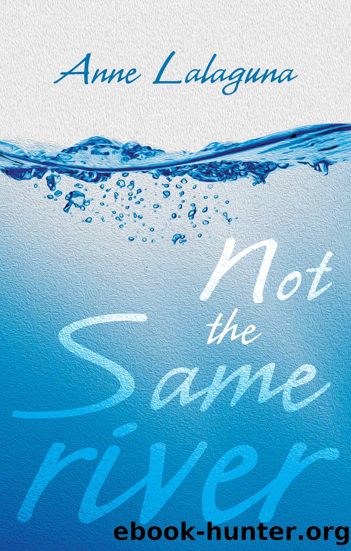 Not the Same River by Anne Lalaguna