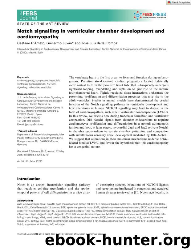Notch signalling in ventricular chamber development and cardiomyopathy by Unknown