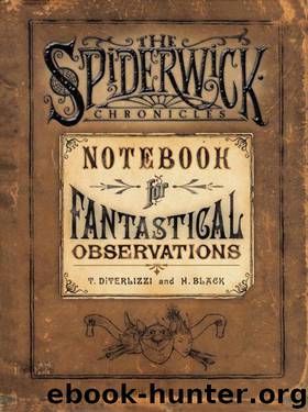 Notebook for Fantastical Observations by Holly Black & Tony Diterlizzi