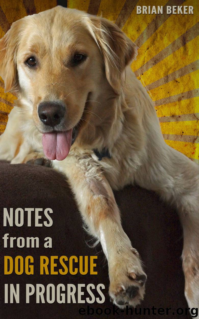 Notes From a Dog Rescue in Progress by Brian Beker