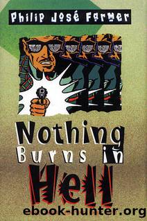 Nothing Burns in Hell by Philip Jose Farmer