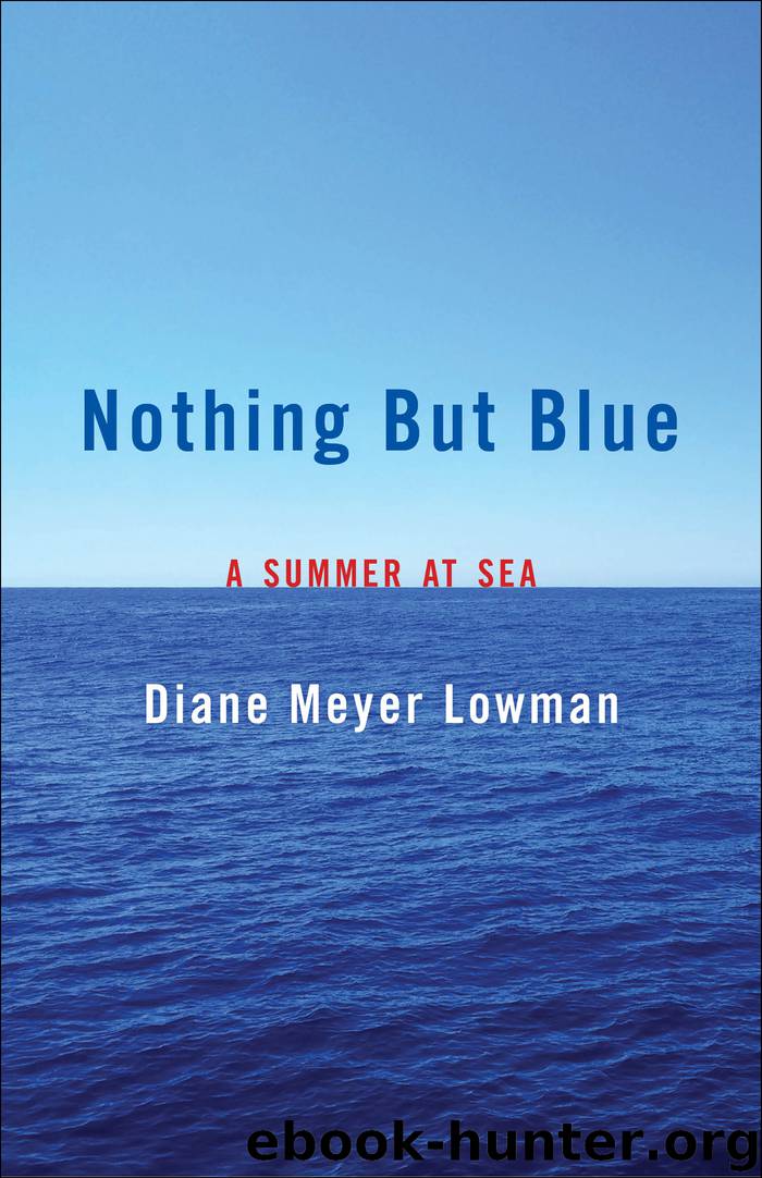 Nothing But Blue by Diane Lowman