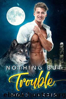 Nothing But Trouble (Wild Hearts Book 2) by Noah Harris