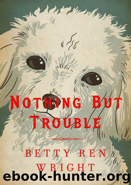 Nothing But Trouble by Betty R. Wright