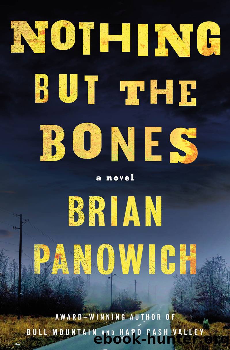 Nothing But the Bones by Brian Panowich
