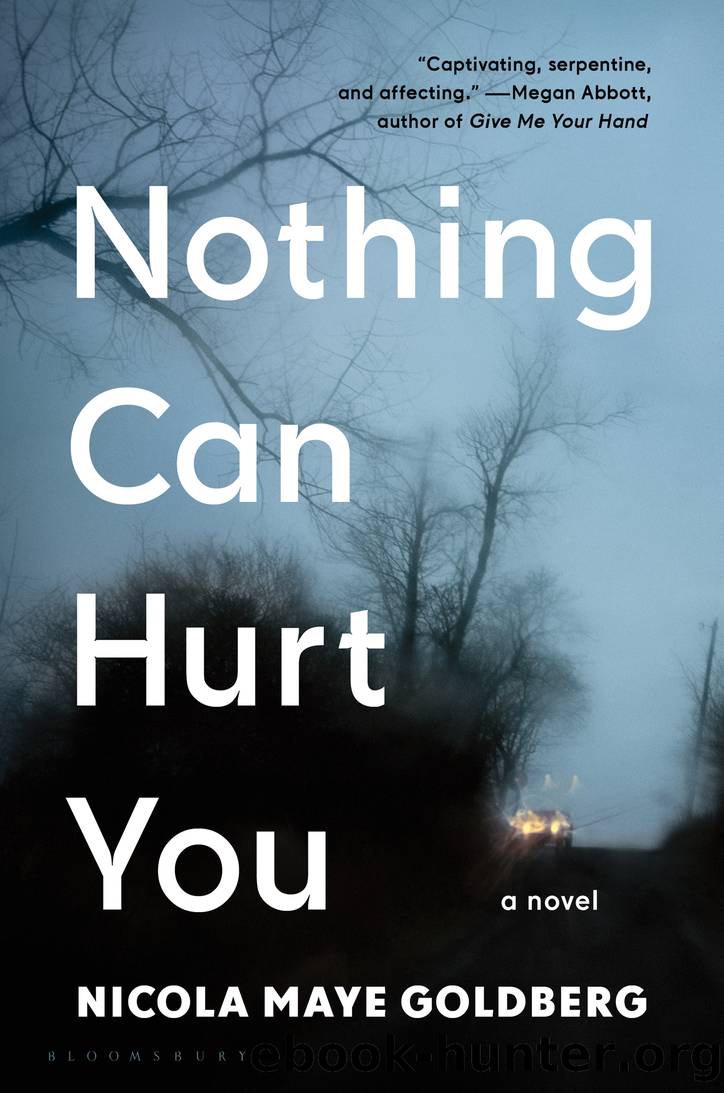 Nothing Can Hurt You by Nicola Maye Goldberg