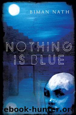 Nothing Is Blue by Biman Nath
