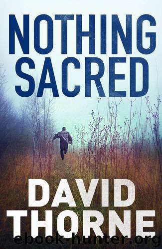 Nothing Sacred by David Thorne