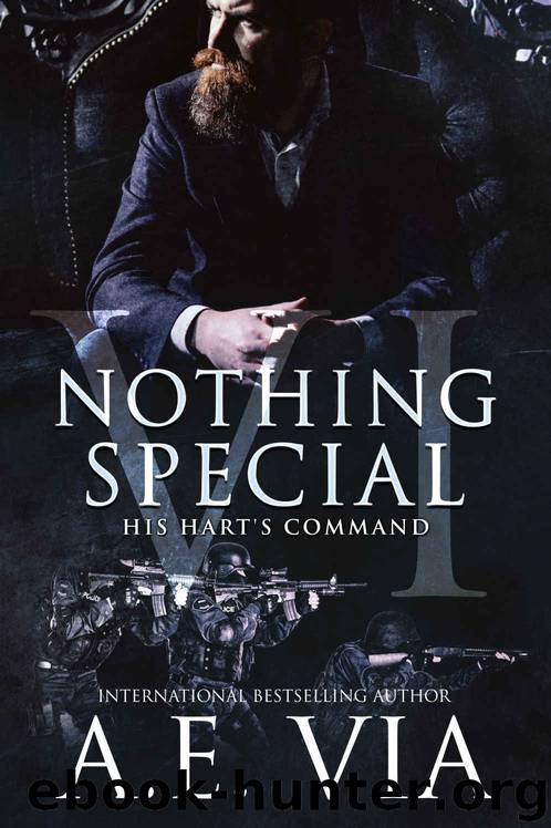 Nothing Special VI (S.W.A.T Edition): His Hart's Command by A.E. Via