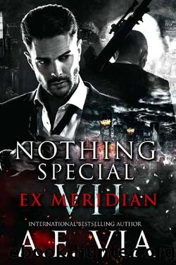 Nothing Special VII: EX Meridian by A.E. Via